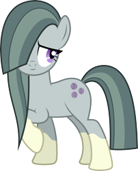 Size: 4648x5763 | Tagged: safe, artist:chrzanek97, edit, editor:slayerbvc, character:marble pie, species:earth pony, species:pony, female, inverted mouth, mare, ponies wearing sunburst's socks, raised hoof, simple background, socks (coat marking), solo, transparent background, vector, vector edit
