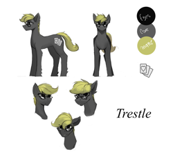 Size: 1698x1500 | Tagged: safe, artist:nsilverdraws, oc, oc:trestle, species:pony, front view, reference sheet, sideview, smug