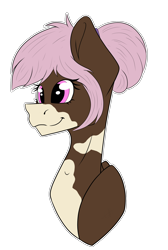 Size: 1284x1910 | Tagged: safe, artist:chazmazda, oc, oc only, species:pony, bun, bust, colored, commission, commissions open, digital art, eye shine, flat colors, hair bun, happy, head shot, markings, outline, pink eyes, pink hair, present, shine, simple background, smiling, solo, transparent background