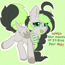 Size: 3000x3000 | Tagged: safe, artist:miss-jessiie, oc, oc only, oc:bree jetpaw, species:dog, species:pegasus, species:pony, angry, clothing, coronavirus, covid-19, dog pony, female, fluffy, freckles, mare, open mouth, original species, paws, scarf, solo, text, threat