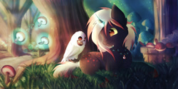 Size: 2500x1250 | Tagged: safe, artist:zobaloba, oc, oc:tracer, species:bird, species:owl, species:pony, species:unicorn, commission, digital art, fantasy, finished commission, forest, forest background, full body, grass, mushroom, speedpaint, speedpaint available