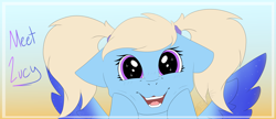 Size: 5000x2150 | Tagged: safe, artist:chazmazda, oc, oc only, oc:lucy, species:pegasus, species:pony, blong hair, dissociative identity disorder, eye lashes, eye shimmer, eye shine, eye sparkles, flat color, hair, hooves, pigtails, smiling, solo, wingding eyes, wings