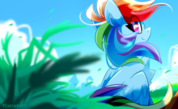 Size: 3600x2200 | Tagged: safe, artist:nekosnicker, character:rainbow dash, species:pegasus, species:pony, chest fluff, cute, dashabetes, eye clipping through hair, female, grass, high res, looking at you, looking back, looking back at you, mare, scenery, sitting, sky, smiling, solo, windswept mane, worm's eye view