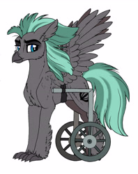 Size: 4044x5112 | Tagged: safe, artist:celestial-rainstorm, oc, oc only, oc:seasmoke, species:classical hippogriff, species:hippogriff, handicapped, male, simple background, solo, wheelchair, white background