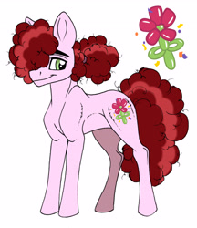 Size: 4024x4656 | Tagged: safe, artist:celestial-rainstorm, oc, oc:birthday bash, parent:party favor, parent:roseluck, species:earth pony, species:pony, g4, absurd resolution, male, offspring, parents:rosefavor, simple background, solo, stallion, white background
