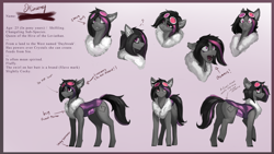 Size: 4000x2250 | Tagged: safe, artist:nsilverdraws, oc, oc only, oc:mimicry, species:changeling, g4, female, original species, reference sheet, solo
