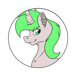 Size: 512x512 | Tagged: safe, artist:chazmazda, oc, species:pony, g4, bust, bust shot, commission, commissions open, eye shine, flatcolours, fluffy, green eyes, green hair, photo, portrait, simple background, solo, transparent, transparent background