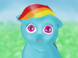 Size: 847x629 | Tagged: safe, artist:waggytail, character:rainbow dash, female, fluffy pony, fluffydash, solo, staring into my soul