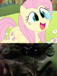 Size: 605x805 | Tagged: safe, artist:thelivingmachine02, edit, character:fluttershy, butterfly, live action, parody, pov, spongebob squarepants, wormy