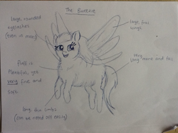 Size: 1024x768 | Tagged: safe, artist:waggytail, species:breezies, fluffy breezie, fluffy pony, sketch, solo