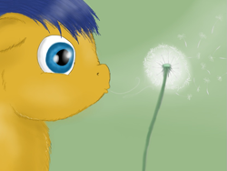 Size: 831x626 | Tagged: safe, artist:waggytail, dandelion, doodle, fascinating, fluffy pony, solo