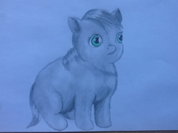 Size: 1024x768 | Tagged: safe, artist:waggytail, fluffy pony, pencil drawing, solo, stare
