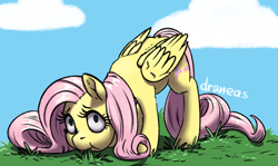 Size: 1266x754 | Tagged: safe, artist:draneas, character:fluttershy, species:pegasus, species:pony, :t, caught, cloud, eating, female, fluffy, grass, grazing, herbivore, horses doing horse things, leg fluff, looking at you, mare, nom, puffy cheeks, solo, wide eyes, wing fluff