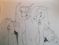 Size: 4141x3216 | Tagged: safe, artist:scribblepwn3, character:derpy hooves, character:twilight sparkle, character:twilight sparkle (alicorn), species:alicorn, species:pegasus, species:pony, ship:twerpy, awkward, female, heartbreak, lesbian, monochrome, pen drawing, rejection, shipping, shipping denied, traditional art