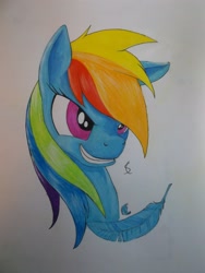 Size: 3216x4288 | Tagged: safe, artist:scribblepwn3, character:rainbow dash, species:pegasus, species:pony, feather, female, pen drawing, portrait, solo, traditional art, watercolor painting
