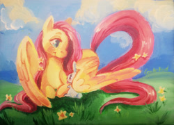 Size: 3630x2616 | Tagged: safe, artist:corelle-vairel, character:angel bunny, character:fluttershy, species:rabbit, acrylic painting, canvas, cloud, cropped, duo, flower, flower in hair, grass, lying down, raised tail, traditional art, wing blanket