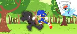 Size: 1847x831 | Tagged: safe, artist:darktailsko, character:rainbow dash, character:sonic the hedgehog, non-mlp oc, oc, oc:dark, commission, crossover, dark's return, fight, sonic the hedgehog (series)