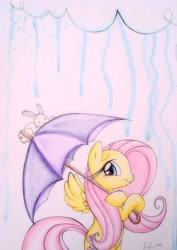 Size: 452x640 | Tagged: safe, artist:prettypinkpony, character:fluttershy, species:rabbit, female, solo, traditional art