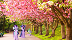 Size: 1920x1080 | Tagged: safe, artist:cutesieart, artist:geometrymathalgebra, artist:mr-kennedy92, artist:myardius, character:spike, character:starlight glimmer, character:twilight sparkle, character:twilight sparkle (alicorn), species:alicorn, species:pony, female, irl, mare, pathway, photo, ponies in real life, shadow, spring, stairs, strolling, tree, vector
