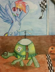 Size: 978x1279 | Tagged: safe, artist:gleamydreams, character:rainbow dash, character:tank, race, traditional art