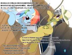 Size: 1013x777 | Tagged: safe, artist:oze, character:daring do, character:rainbow dash, species:pegasus, species:pony, bandage, cliff, crying, dream, duo, duo female, english, female, japanese, mare, pixiv, teary eyes