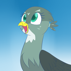 Size: 1280x1280 | Tagged: safe, artist:acersiii, character:gabby, species:griffon, episode:the fault in our cutie marks, g4, my little pony: friendship is magic, beak, birb, blue background, bust, colored pupils, cute, eyelashes, featured on derpibooru, female, gabbybetes, happy, open mouth, open smile, portrait, simple background, smiling, solo, three quarter view, wings