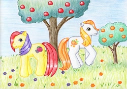 Size: 1024x720 | Tagged: safe, artist:normaleeinsane, character:apple spice, g3, apple, citrus sweetheart, flower, food, orange, traditional art, tree