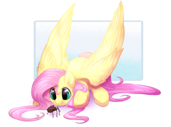 Size: 1900x1408 | Tagged: safe, artist:peachmayflower, character:fluttershy, big wings, cute, female, fluffy, prone, shyabetes, smiling, solo, spider, spread wings, wings