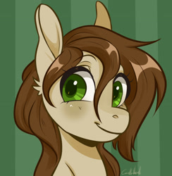 Size: 2747x2814 | Tagged: safe, artist:corelle-vairel, oc, oc only, oc:marry honey, species:earth pony, species:pony, adorable face, bust, cute, female, mare, solo, ych result