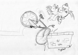 Size: 1500x1067 | Tagged: safe, artist:wingbeatpony, character:flash sentry, bicycle, crash, grayscale, monochrome, open mouth, scared, spread wings, traditional art, wall, wide eyes, wings