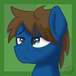 Size: 500x500 | Tagged: safe, artist:soulfulmirror, oc, oc only, oc:bizarre song, species:pegasus, species:pony, bust, icon, male, portrait, solo, stallion