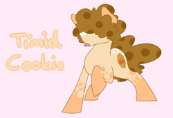 Size: 1468x1005 | Tagged: safe, artist:timidwithapen, oc, oc only, oc:timid cookie, ponysona, species:earth pony, species:pony, reference sheet, solo