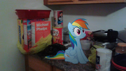 Size: 2560x1440 | Tagged: safe, artist:mrlolcats17, artist:tmntmlp4ever2000, character:rainbow dash, species:pony, cereal, food, irl, kitchen, michael phelps, photo, ponies in real life, sitting, solo
