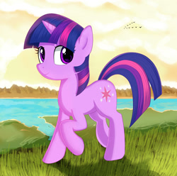 Size: 2000x1985 | Tagged: safe, artist:kas92, character:twilight sparkle, character:twilight sparkle (unicorn), species:bird, species:pony, species:unicorn, female, lake, raised hoof, smiling, solo, water