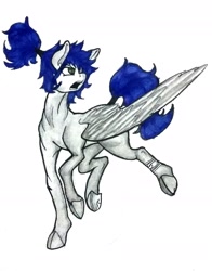 Size: 1836x2344 | Tagged: safe, artist:pantheracantus, oc, oc only, oc:ruituri nox, species:pony, colored, one winged pegasus, ponytail, semi-realistic, solo, traditional art