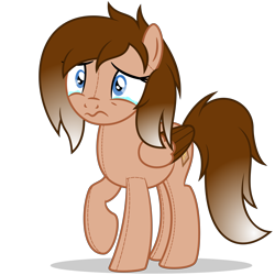 Size: 7000x7000 | Tagged: safe, artist:besttubahorse, oc, oc only, oc:cinnamon toast, species:pegasus, species:pony, 3:, absurd resolution, female, original species, plush pony, raised hoof, sad, simple background, solo, teary eyes, transparent background, vector, wavy mouth