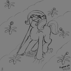 Size: 2000x2000 | Tagged: safe, artist:floofyfoxcomics, oc, oc only, oc:azalea, species:earth pony, species:pony, female, high res, mare, monochrome, mouth hold, sketch, solo, weeds