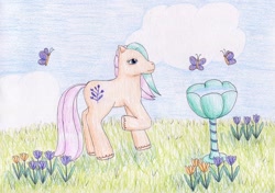 Size: 1024x720 | Tagged: safe, artist:normaleeinsane, species:pony, g2, butterfly, female, flower, solo, tipsy tulip, traditional art