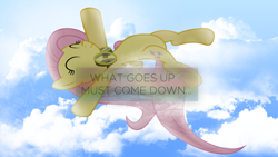 Size: 1920x1080 | Tagged: safe, artist:flutterguy317, artist:penguinsn1fan, edit, character:fluttershy, species:pony, female, goggles, solo, sonic heroes, wallpaper, wallpaper edit, what goes up must come down