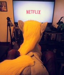 Size: 724x852 | Tagged: safe, artist:agatrix, character:derpy hooves, species:human, species:pegasus, species:pony, clothing, cuddling, female, irl, irl human, male, netflix, netflix and chill, pajamas, photo, plot, plushie, rear view, television