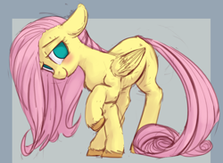 Size: 956x701 | Tagged: safe, artist:deeriojim, artist:yoditax, character:fluttershy, species:pegasus, species:pony, blushing, chest fluff, colored, colored sketch, female, floppy ears, fluffy, folded wings, head tilt, looking at you, looking sideways, mare, missing cutie mark, no pupils, raised hoof, simple background, smiling, solo, wings