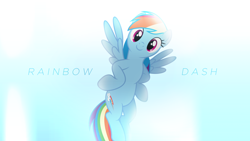 Size: 1920x1080 | Tagged: safe, artist:penguinsn1fan, artist:xpesifeindx, character:rainbow dash, species:pony, female, looking at you, mare, solo, spread wings, wallpaper, wings