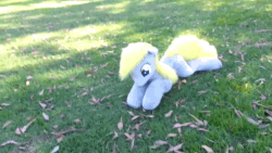 Size: 1280x720 | Tagged: safe, artist:agatrix, artist:earthenhoof, character:derpy hooves, species:human, species:pegasus, species:pony, animated, female, fetch, grass, irl, irl human, mare, no sound, outdoors, park, photo, plushie, prone, stick, throwing, video, webm