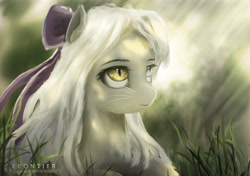 Size: 5906x4169 | Tagged: safe, artist:aidelank, oc, oc only, species:earth pony, species:pony, absurd resolution, bow, female, grass, heterochromia, mare, slit eyes, solo, sunlight, whiskers