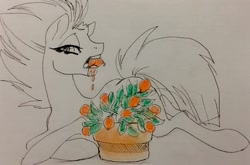 Size: 1280x844 | Tagged: safe, artist:candasaurus, character:tempest shadow, species:pony, my little pony: the movie (2017), eating, female, herbivore, horses doing horse things, kumquat, messy eating, solo, traditional art