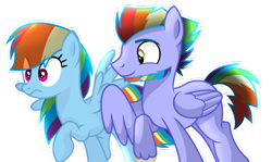 Size: 1024x612 | Tagged: safe, artist:sapphireartemis, character:bow hothoof, character:rainbow dash, species:pony, beard, facial hair, simple background, transparent background, white outline