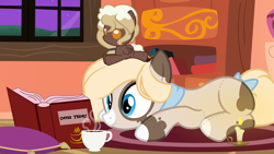 Size: 9375x5272 | Tagged: safe, artist:besttubahorse, oc, oc only, oc:cappuccino blanket, oc:sweet mocha, 16:9, absurd resolution, book, bookshelf, candle, carpet, clothing, coffee cup, cup, cushion, female, lying down, night, original species, plush pony, plushie, plushie hat, reading, scarf, solo, tail bow, vector, window