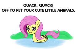 Size: 1500x1000 | Tagged: safe, artist:canister, character:fluttershy, species:pegasus, species:pony, >:3, caption, duck pony, female, masterpiece, pegaduck, pure unfiltered evil, quack, solo, swimming, water