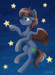Size: 900x1216 | Tagged: safe, artist:scheadar, oc, oc only, species:pegasus, species:pony, female, night, solo, stars, tangible heavenly object