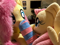 Size: 4032x3024 | Tagged: safe, artist:agatrix, artist:natureshy, artist:qtpony, character:fluttershy, species:pony, boop, clothing, female, irl, mare, multeity, photo, plushie, silly, silly pony, so much flutter, socks, striped socks